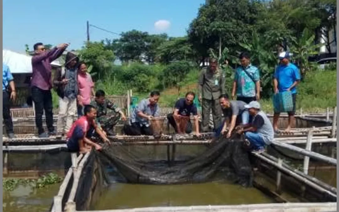 Pengembangan Kelompok Budidaya Ikan (POKDAKAN) di Desa Bener: Mewujudkan Kemandirian Pangan