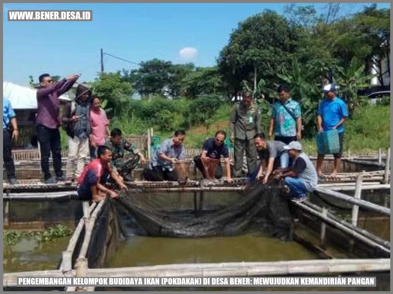 Budidaya Ikan di Desa Bener