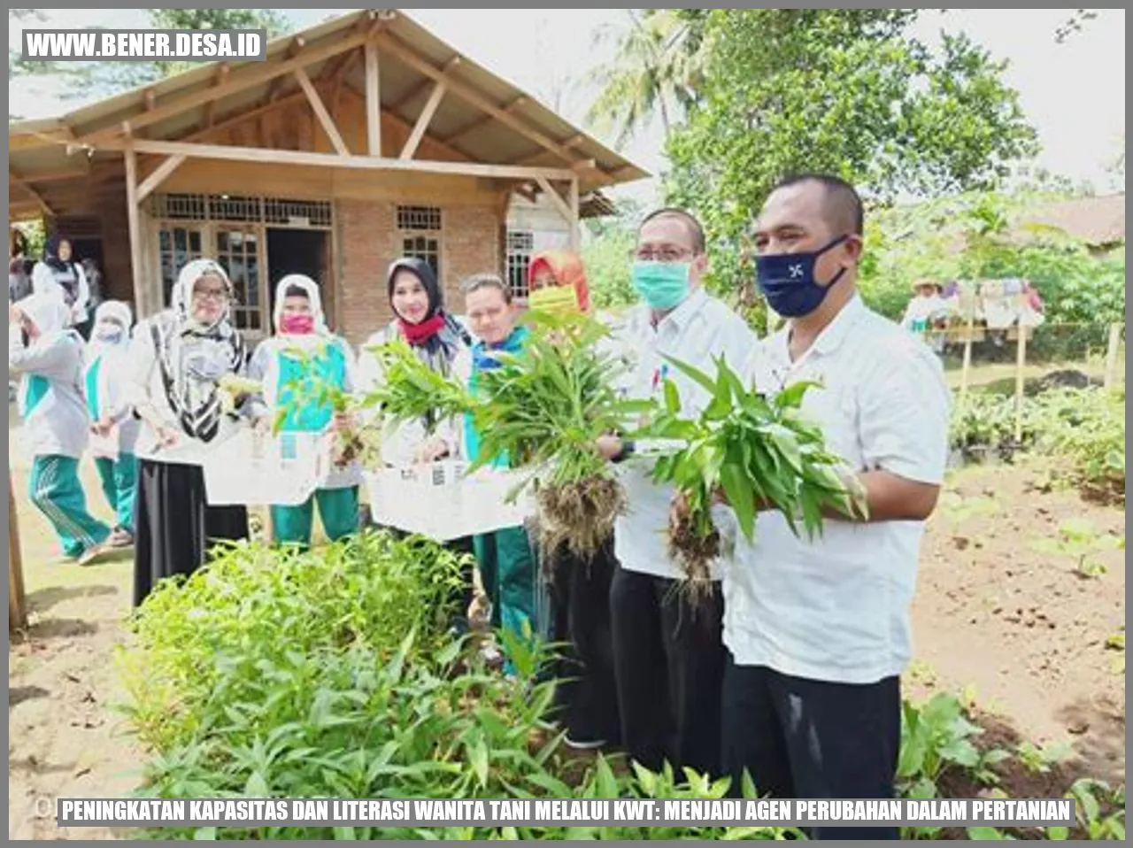 Peningkatan Kapasitas dan Literasi Wanita Tani melalui KWT: Menjadi Agen Perubahan dalam Pertanian