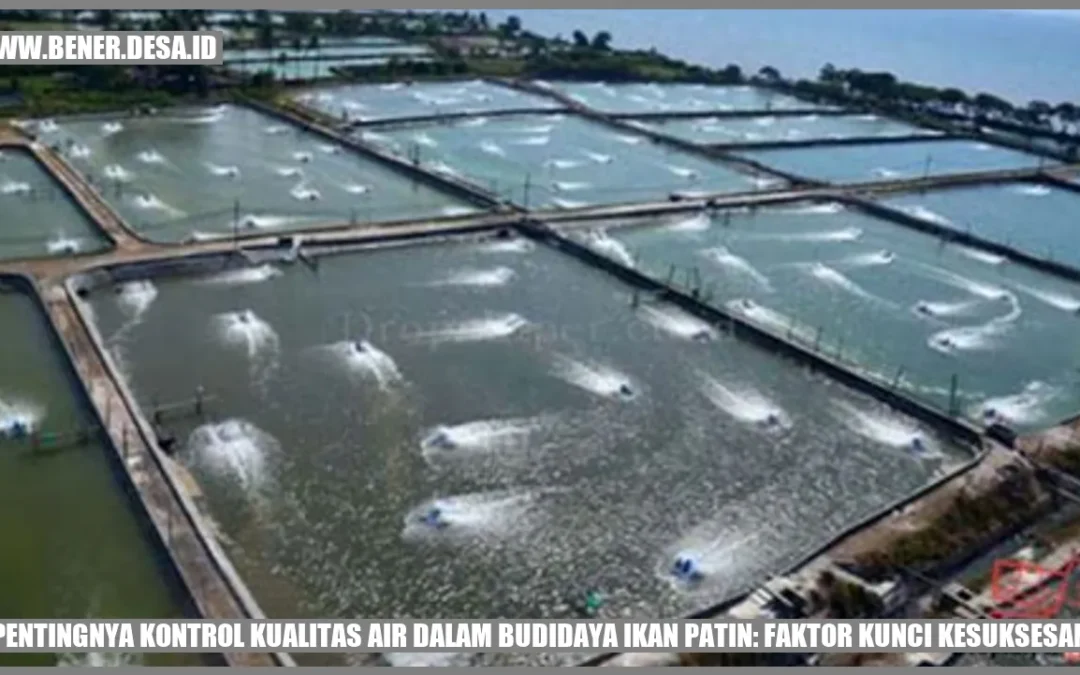 Pentingnya Kontrol Kualitas Air dalam Budidaya Ikan Patin: Faktor Kunci Kesuksesan