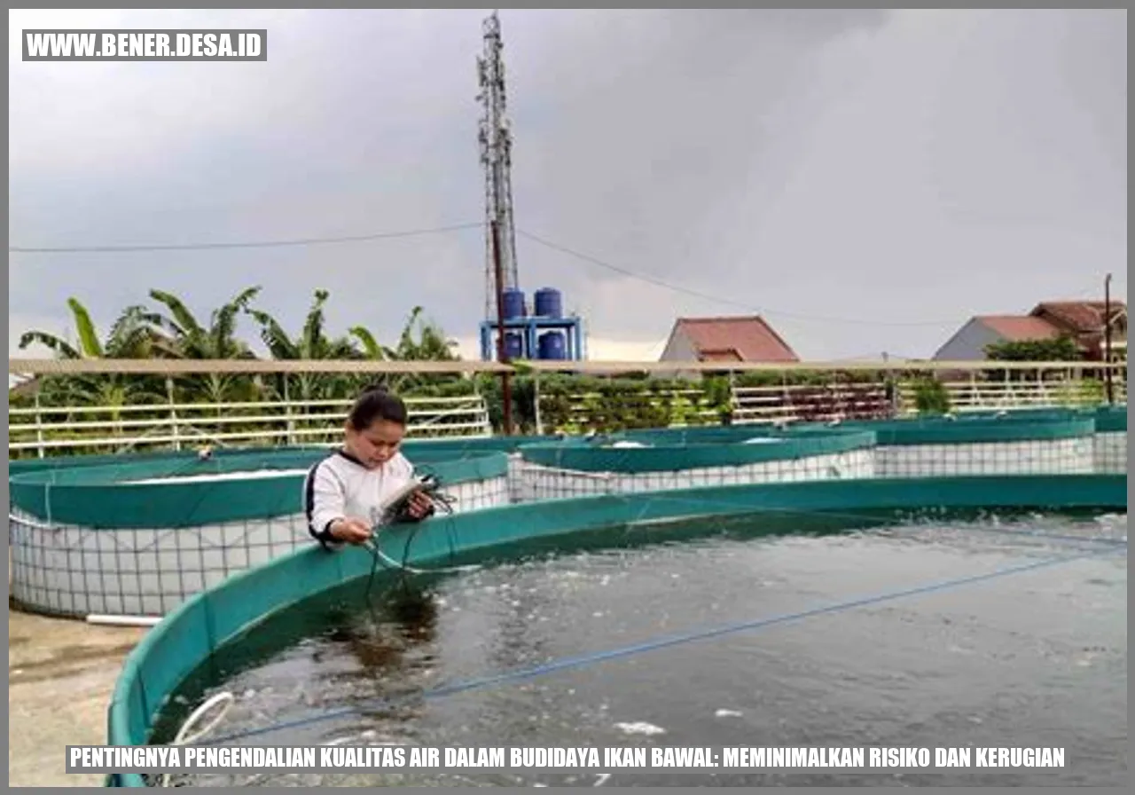 Pentingnya Pengendalian Kualitas Air dalam Budidaya Ikan Bawal: Meminimalkan Risiko dan Kerugian
