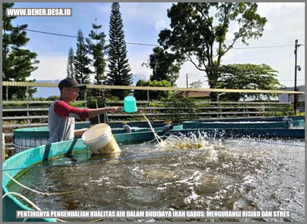Pentingnya Pengendalian Kualitas Air dalam Budidaya Ikan Gabus: Mengurangi Risiko dan Stres