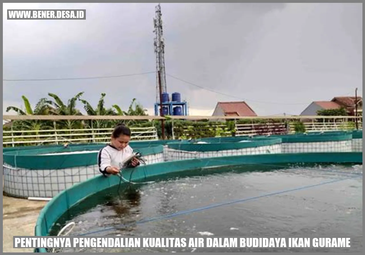 Pentingnya Pengendalian Kualitas Air dalam Budidaya Ikan Gurame