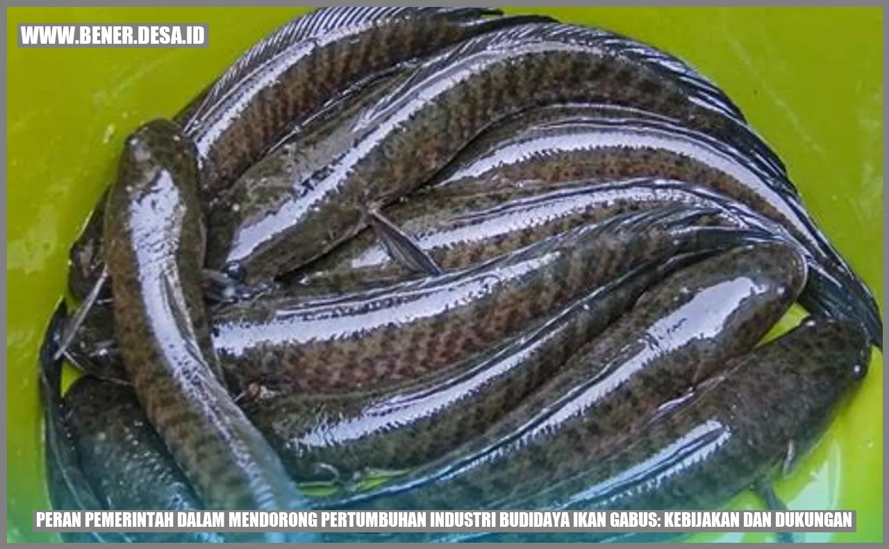 Peran Pemerintah dalam Mendorong Pertumbuhan Industri Budidaya Ikan Gabus: Kebijakan dan Dukungan