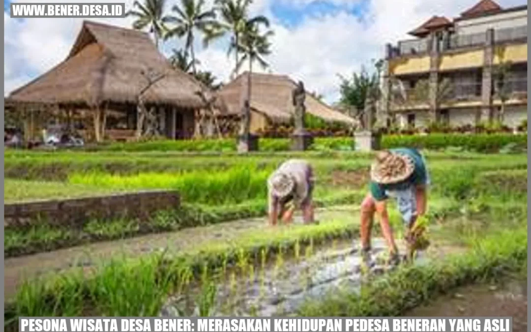 Pesona Wisata Desa Bener: Merasakan Kehidupan PeDesa Beneran yang Asli