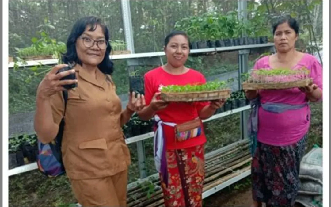 Membangun Jaringan Pertanian dengan KWT