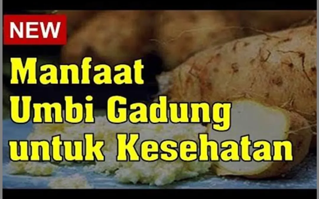 Menjelajahi...
![Rahasia Kesehatan Gadung: Manfaat Gizi dan Aneka Olahan yang Menggugah Selera
