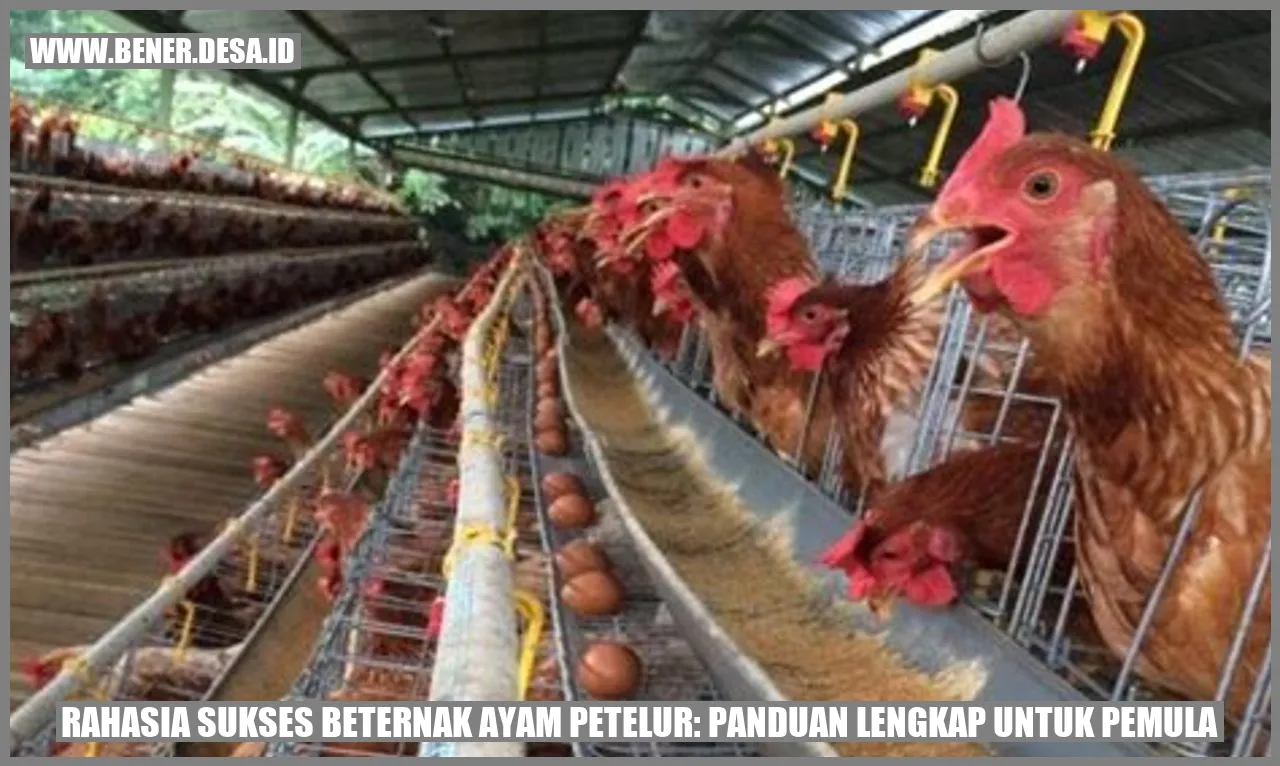 Rahasia Sukses Beternak Ayam Petelur: Panduan Lengkap untuk Pemula