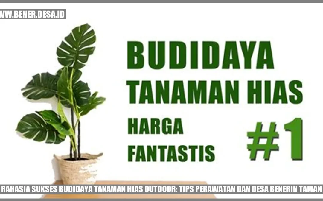 Rahasia Sukses Budidaya Tanaman Hias Outdoor: Tips Perawatan dan Desa Benerin Taman