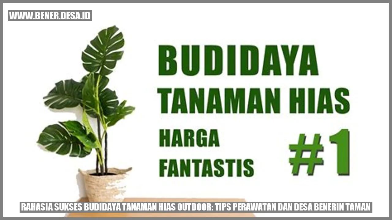 Tanaman Hias