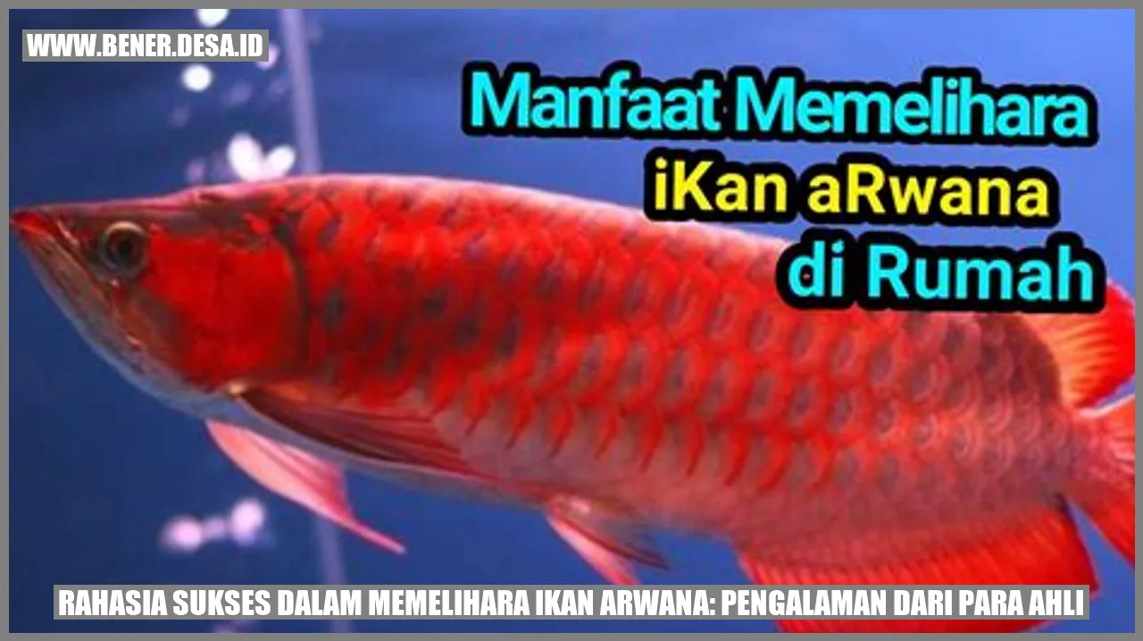 Ikan Arwana
