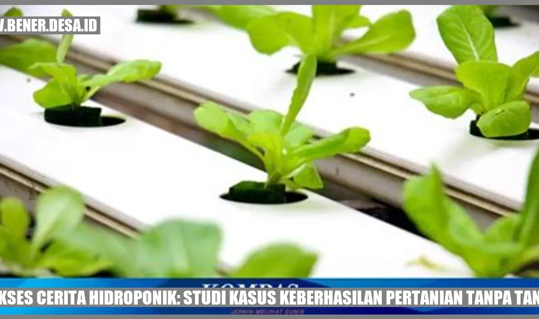 Sukses Cerita Hidroponik: Studi Kasus Keberhasilan Pertanian Tanpa Tanah