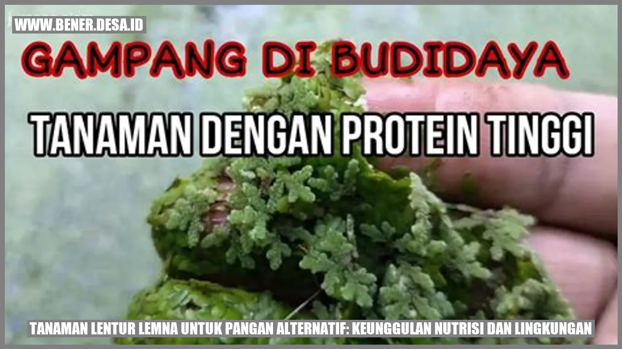 Tanaman Lentur Lemna untuk Pangan Alternatif: Keunggulan Nutrisi dan Lingkungan