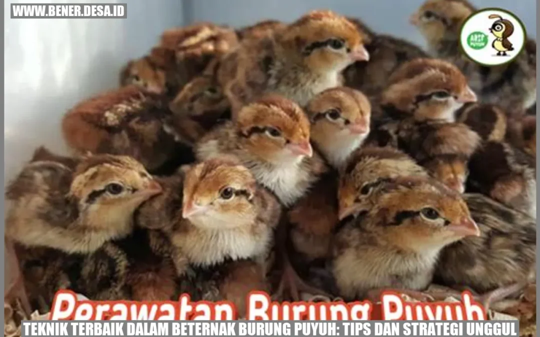 Teknik Terbaik dalam Beternak Burung Puyuh: Tips dan Strategi Unggul