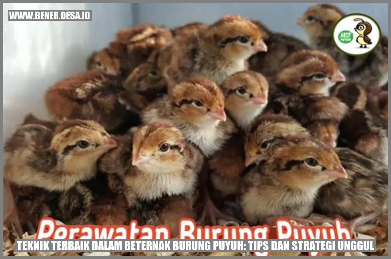 Teknik Terbaik dalam Beternak Burung Puyuh: Tips dan Strategi Unggul