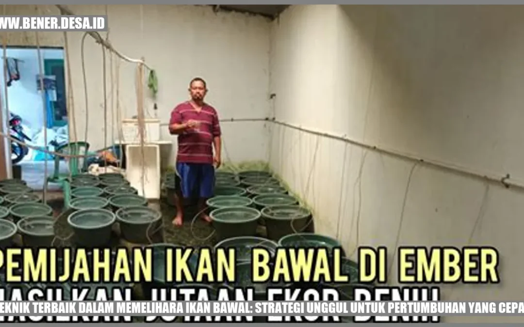 Teknik Terbaik dalam Memelihara Ikan Bawal: Strategi Unggul untuk Pertumbuhan yang Cepat
