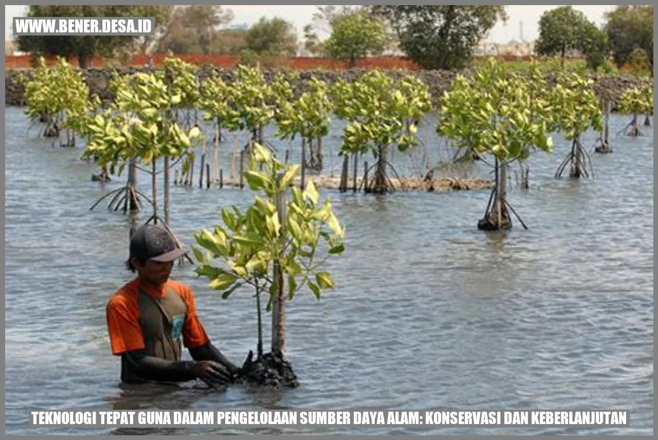 Teknologi Tepat Guna dalam Pengelolaan Sumber Daya Alam: Konservasi dan Keberlanjutan