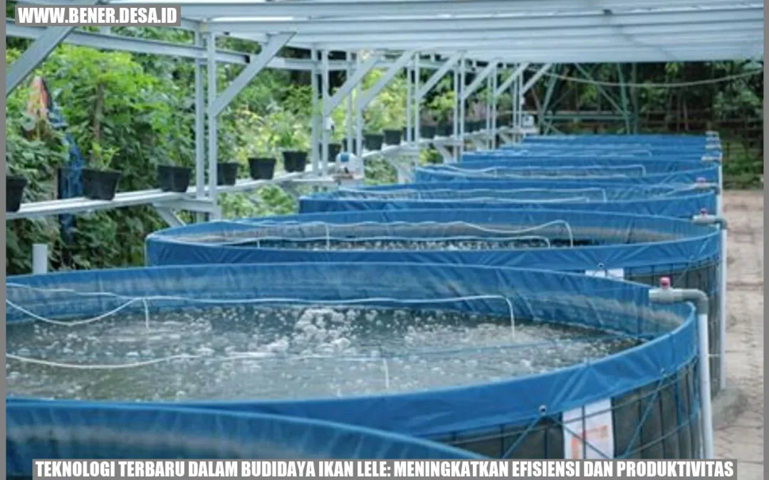 Teknologi Terbaru dalam Budidaya Ikan Lele: Meningkatkan Efisiensi dan Produktivitas