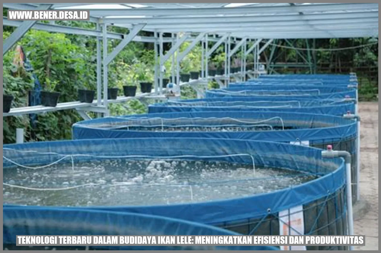 Gambar Benih Ikan Lele