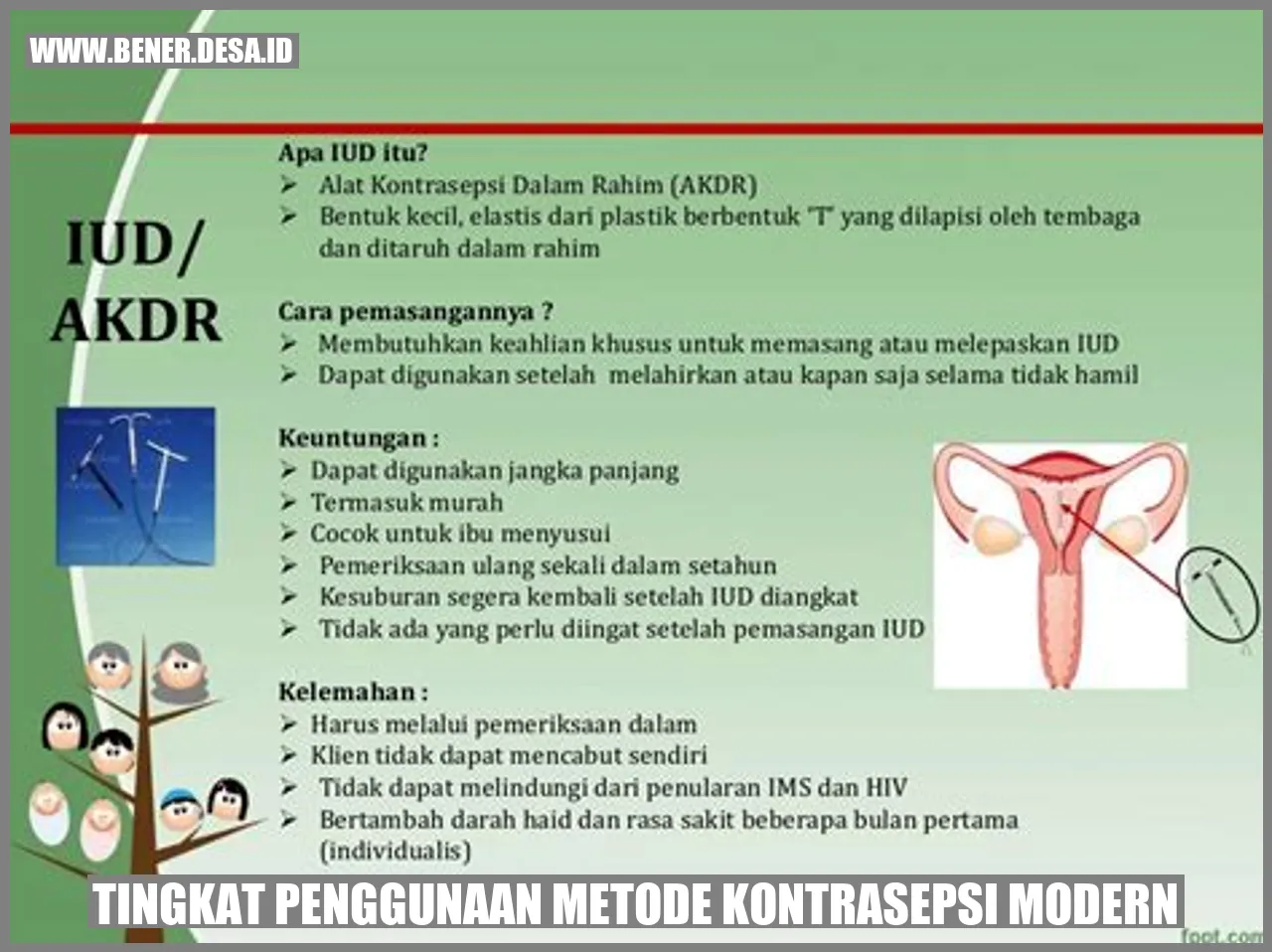 Tingkat Penggunaan Metode Kontrasepsi Modern