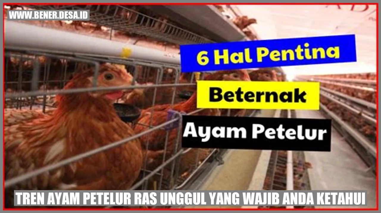 Tren Ayam Petelur Ras Unggul yang Wajib Anda Ketahui